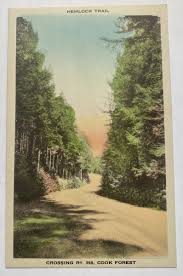 Vintage Postcard ~ Hemlock Trail across Route 368 ~ Cook ...