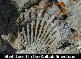 Grand Canyon Explorer