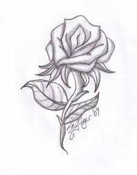 210 Best Rose drawings ideas | drawings, roses drawing, rose ...