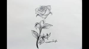 How To Draw A Realistic Rose Step By Step for beginners ...
