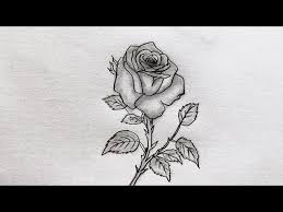 Beautiful rose drawing - How to draw a rose - Flower drawing ...