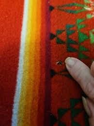 Vintage WOOL Beaver State PENDELTON Woolen Mills Lap Blanket ...