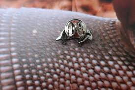 Armadillo Lapel Pin - Adorable Fashion | Lapel Pin Planet ...