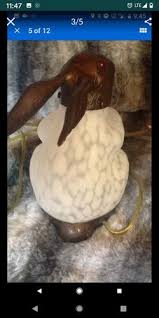 1996 RABBIT TIN CHI LAMP for Sale in Phoenix, AZ - OfferUp