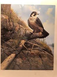 John Seerey Lester "River Watch-Peregrine Falcon" # 76 of ...