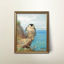 Vintage Peregrine Falcon Print: Coastal Bird Seascape Art - Etsy