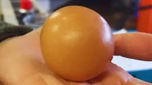 One-In-A-Million Egg Sold For Rs 43,000 In Britain | Viral ...