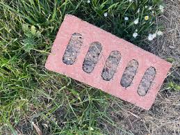 Hi all. So in front of our house in a large strip of grass ...