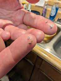 Tiny Birthstone Stud Earrings: 24k Gold, Rose Gold, or Sterling Silver - Etsy