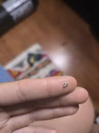 Rhodolite garnet flatback labret - RoseGemShop