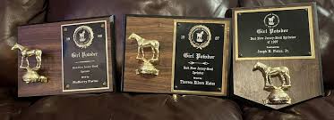 3 Best NJ Bred Awards. “Girl Powder” Race Horse Thoroughbred 1987-88 | eBay
