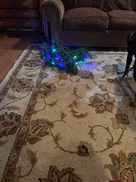 2 9ft Multi Colored Light Garland With Remote