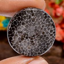 28 Ct. Natural Round Stingray Coral Spiritual Cabochon Loose ...