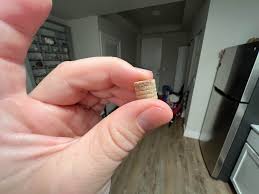 What are these little spring looking rocks? : r/FossilHunting