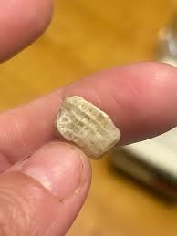 What are these unique rocks from Manistee?