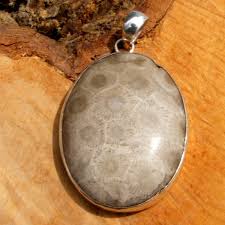 Petoskey Stone Pendant – EarthSpeak