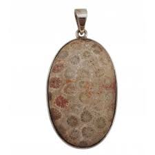 pendant silver coral petoskey stone