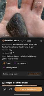 Could it really be? If not what the heck is it? Found near Bellingham WA : r/rockhounds