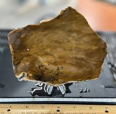 Picture Jasper slab, unpolished | eBay