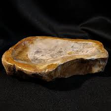 PW-6 Petrified Wood Bowl - Bestcrystals.com