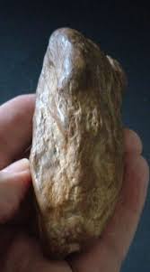 Prehistoric Paleo-American, petrified wood, rock art ...