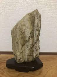 Suiseki Bonseki Bonsai Japanese Garden Petrified wood ...