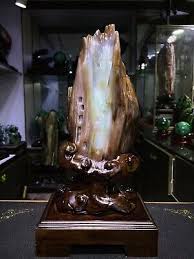 3.97LB Natural Petrified Wood Fossil-Jade Specimen Quartz ...