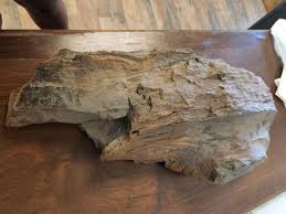 Large & Heavy Driftwood, Taxidermy Mount/Aquarium etc. | eBay