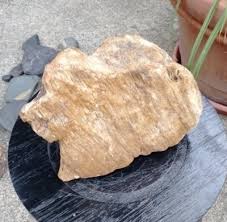 Prehistoric, petrified wood, Paleo-American, rock art sculpture, and multi tool. | eBay