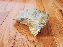 Petrified Wood Natural Fossil Rough 2lbs 12oz | eBay