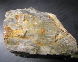 Petrified Opalized Wood From Michigan︱decorative Rough Rock ...