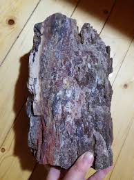 Rare Turkish Petrified Wood: Shimmery Druzy Crystal ...