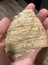 Bibb co Alabama : r/whatsthisrock