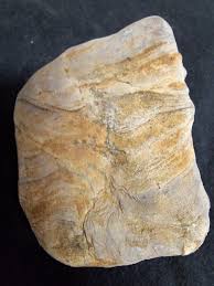 Are these stromatolites? : r/fossilid