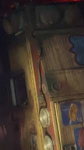 Is this a pet snake or wild?