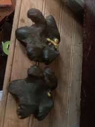 antique heavy metal horny frogs anatomically differentiated ...