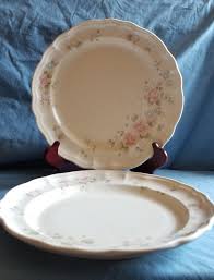 Two 10 1/2 Inch Scalloped Edged Pfaltzgraff Tea Rose Dinner ...