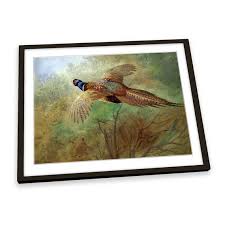Archibald Thorburn Pheasant in Flight FRAMED ART PRINT ...