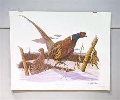 Richard Sloan, Ring-Necked Pheasant, Signed Print, 28x22 ...