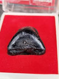 Lahu 香炉LP Ruyin Wat Papuktatmongkhon 2558B.E