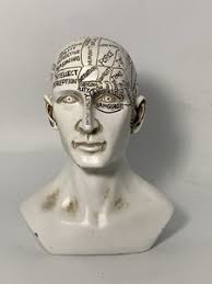 Anatomy Sculptures | eBay