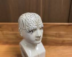 Antiqued Ceramic Phrenology Head Bookends - Etsy