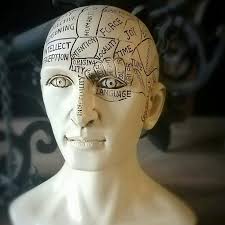 Phrenology Head, Vintage Style Medical Phrenology Bust - Oddities For Sale has unique