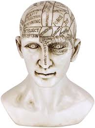 Tayl_or_Treat's Amazon Page