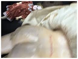 Antique BIsque Head Kley and Hahn 250 Doll Sweet Great Clothing . For Sale at Ruby Lane