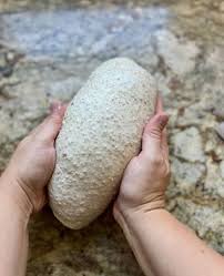 This Multigrain Sourdough Bread is hearty, wholesome, and packed with flavor thanks to the 7-grain cereal in the dough. It's got that artisan-style crust with a soft, slightly sweet inside that's perfect