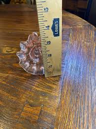 Antique Horn vase Victorian Pink Depression Glass Epergne 8 ...