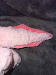 Girl Scout Cookie Rewards 2024 Plush Pink Lucy the Axolotl ...