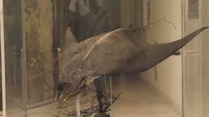 A Mirror of the Sea Quảng Ninh Museum Reflects the ...