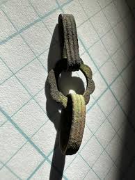 What is this thing? Found on 1700-1850's site. Massachusetts ...